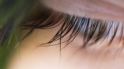 Reasons Why You Have Crunchy Eyelash Extensions